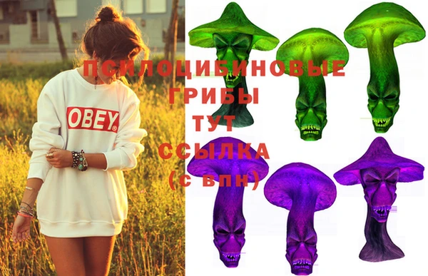 экстази Гусев