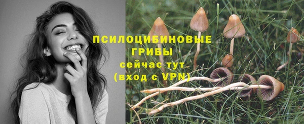 экстази Гусев