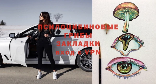сатива Гусь-Хрустальный
