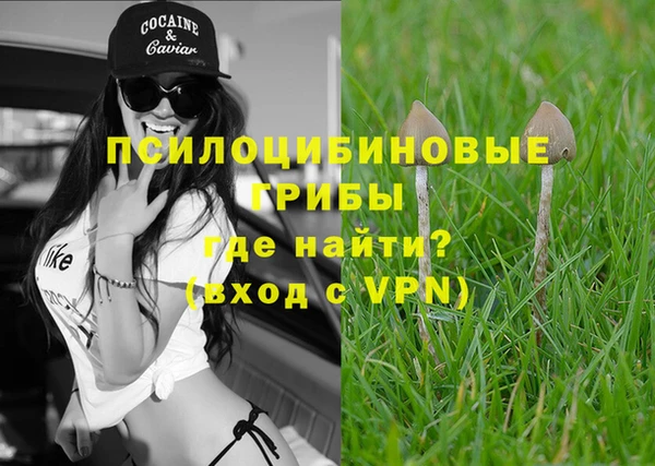сатива Гусь-Хрустальный