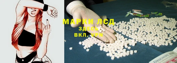 сатива Гусь-Хрустальный