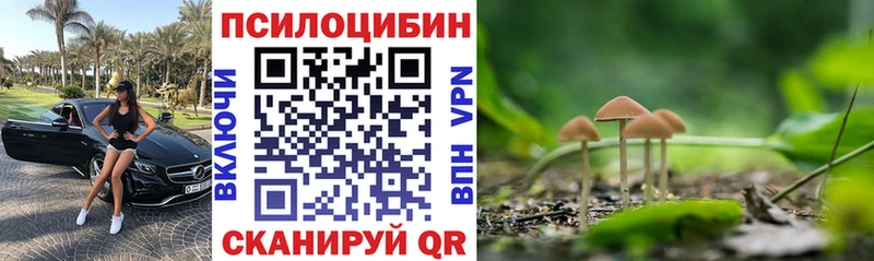 Псилоцибиновые грибы Psilocybine cubensis Магнитогорск